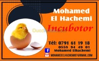 المدية-الجزائر-أكسسوارات-للحيوانات-فقاسات-محمد-الهاشمي