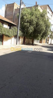 alger-el-harrach-algerie-duplex-vente-f6