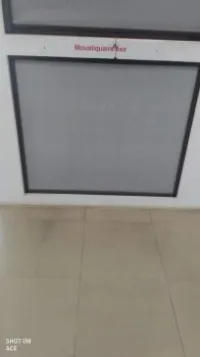 Moustiquaie 