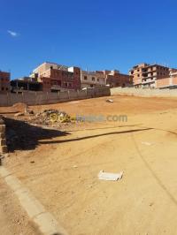 تيبازة-القليعة-الجزائر-أرض-vente-terrain-tipaza-kolea