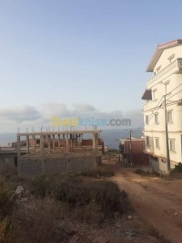 أرض-بيع-تلمسان-هنين-الجزائر