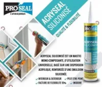 ACRYSEAL ACRYLIC SILICONISE 