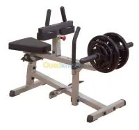 BODY SOLID SEATED CALF GSCR349 