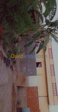 تلمسان-مرسى-بن-مهيدي-الجزائر-شقة-byaa-shk-3-ghrf-tlmsan-mrs-bn-mhydy