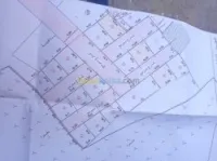 Vente Terrain Batna Batna