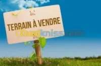 Vente Terrain Tlemcen Tlemcen