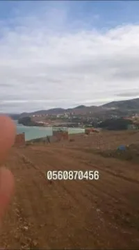 Vente Terrain Tlemcen Souk tlata