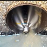 الجزائر-دار-البيضاء-تنظيف-و-بستنة-nitwayag-diboucharg