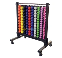 BODYSOLID DUMBBELL RACK GDR500