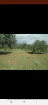 Vente Terrain Bejaia Ait rzine