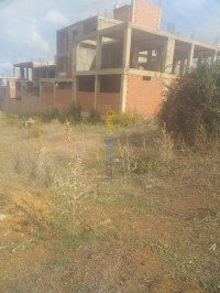 بومرداس-بودواو-الجزائر-أرض-byaa-ard-bomrdas-bodoao