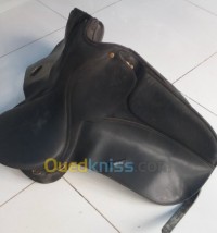 عين-الدفلى-مليانة-الجزائر-معدات-رياضية-selle-wintec-pro-professionnel