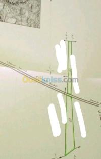 برج-بوعريريج-الجزائر-أرض-فلاحية-byaa-ard-flahy-brj-boaaryryj