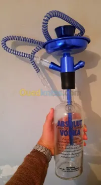 Rangila chicha