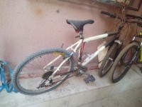 رياضة-velo-الرغاية-الجزائر