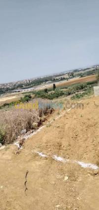 بومرداس-الأربعطاش-الجزائر-أرض-byaa-ard-bomrdas-alarbaatash