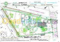 بجاية-سوق-الإثنين-الجزائر-مشاريع-ودراسات-topographique