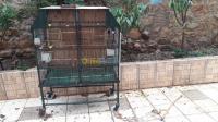 mostaganem-sidi-ali-algerie-accessoire-pour-animaux-cage-d-oiseaux