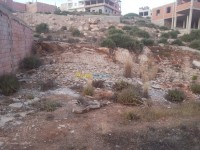 تلمسان-هنين-الجزائر-أرض-byaa-ard-tlmsan-hnyn