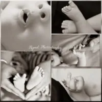 Photographe 
