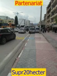 Vente Terrain Alger Alger centre