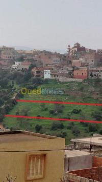 تلمسان-غزوات-الجزائر-أرض-byaa-ard-tlmsan-ghzoat