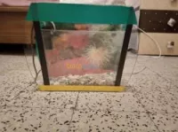 aquarium pour chambre