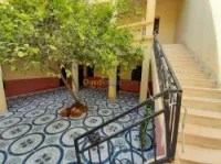 Vente Villa Tlemcen Maghnia