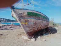 boumerdes-dellys-algerie-chasse-peche-vente-de-sardinier