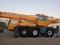 Location de grues differents tonnages 