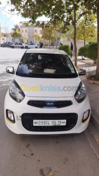 سطيف-الجزائر-سيارة-المدينة-kia-picanto-safety-2016