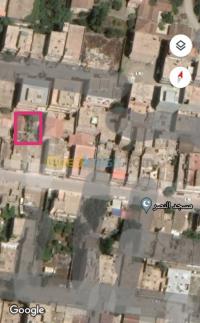 أرض-بيع-الجزائر-الكاليتوس