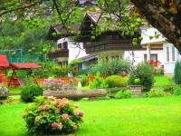 الجزائر-شراقة-تنظيف-و-بستنة-jardinier