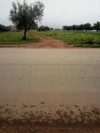 Vente Terrain Tlemcen Tlemcen