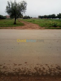 تلمسان-الجزائر-أرض-byaa-ard-tlmsan