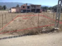 Vente Terrain Blida Boufarik