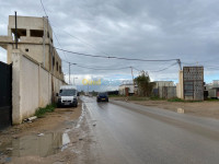 hangar-location-alger-les-eucalyptus-algerie