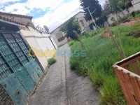 الجزائر-باش-جراح-شقة-vente-appartement-alger-bachdjerrah