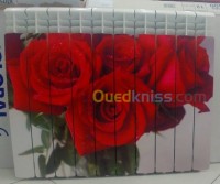 الشلف-الشطية-الجزائر-مواد-البناء-radiateur-avec-motif-au-choix