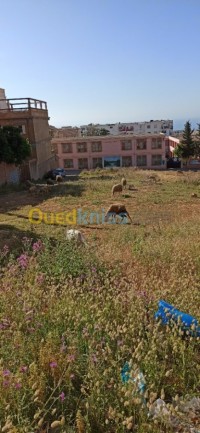 تيبازة-خميستي-الجزائر-أرض-byaa-ard-tybaz-khmysty