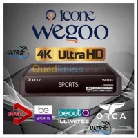 Wegoo 4K Icône