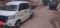 ain-temouchent-algerie-fourgonnette-gonow-mini-truck-double-cabine-2016