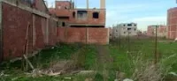 Vente Terrain Blida Ouled selama