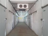 وهران-الكرمة-الجزائر-آخر-location-bien-immobilier-oran-el-kerma