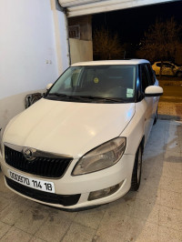 voitures-skoda-fabia-2014-fresh-ferdjioua-mila-algerie