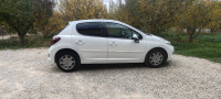 voitures-peugeot-207-2012-batna-algerie