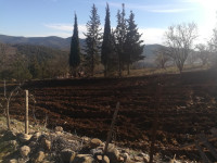 farmland-sell-medea-berrouaghia-algeria