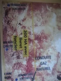 Vente Terrain Agricole Naâma Mecheria