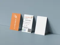 Infographe 