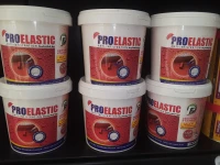 PROELASTIC